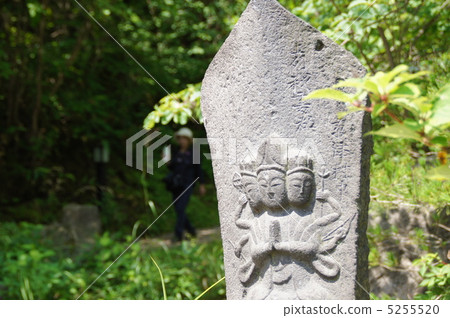 West Kawahara Park 5255520