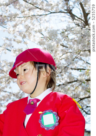 Cherry blossoms and kindergarten children 5255759