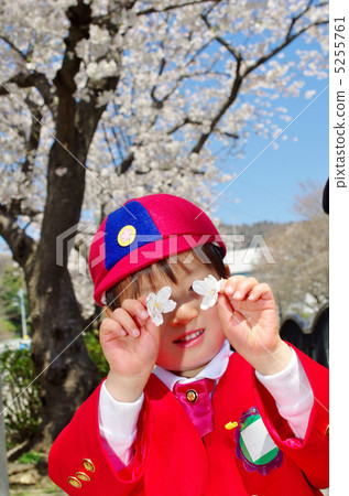 Cherry blossoms and kindergarten children Cherry blossoms and kindergarten children 5255761