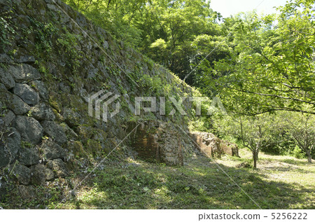 Iwami Ginzan 5256222