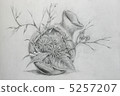 花 5257207