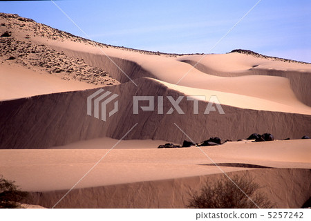 撒哈拉大沙漠的沙丘 5257242