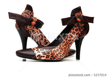 Tiger leather shoes on white 5257814