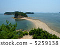 天使之路 5259138