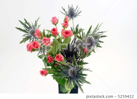 Roses and round flowers 5259422