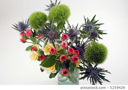 Roses and round flowers 5259426