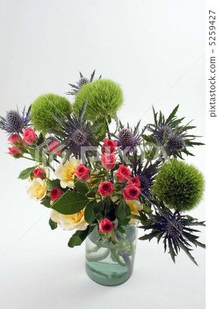 玫瑰和圓花 5259427