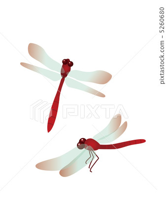 Dragonfly  5260680