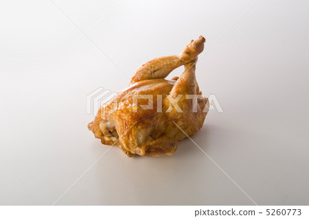 chicken chicken 5260773