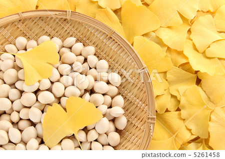 銀杏全臉03 銀杏全臉03 5261458