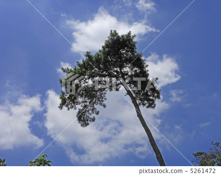 Monolith of summer clouds back 5261472