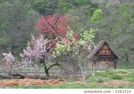 Old private house in early spring 5261514