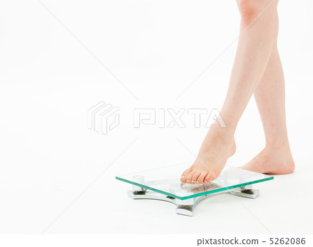 Weight scale Weight scale 5262086