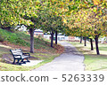 Autumn park 5263339