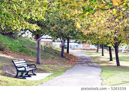 Autumn park 5263339