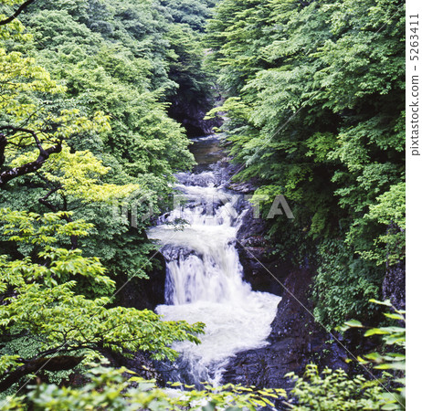 Fresh greenery and clear streams Fresh greenery and clear streams 5263411