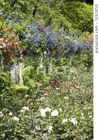 維多利亞Butchartart花園 5263859