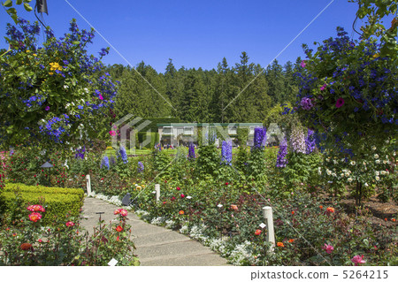 維多利亞Butchartart花園 5264215