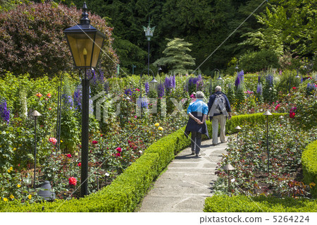 Victoria Butchartart Garden 5264224