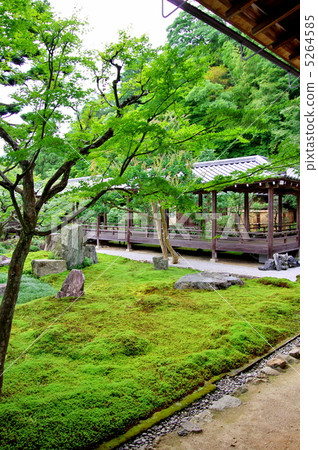 Nanzenji Rokubo garden 5264585