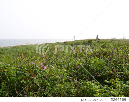 Noge peninsular Ryujin Cape 5266569