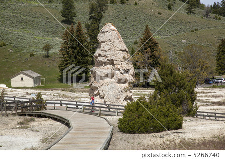 在黃石國家公園 5266740