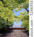 Jingo-ji of the fresh green 5266958