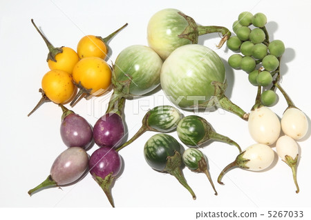 蛋Makua泰國食品成分泰國 5267033