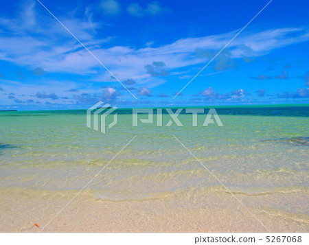 帕勞鯉魚島的風景 帕勞鯉魚島的風景 5267068