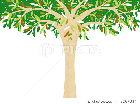 Olive tree Olive tree 5267334
