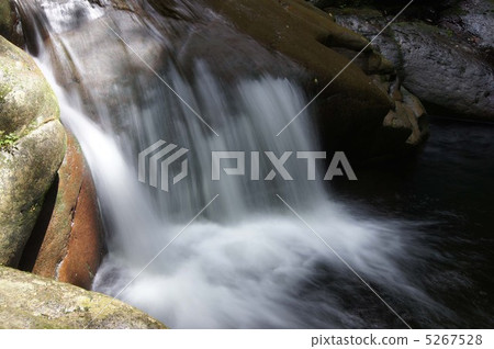 Red eyed falls 5267528