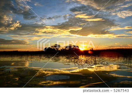 The sunset spreading 5267543