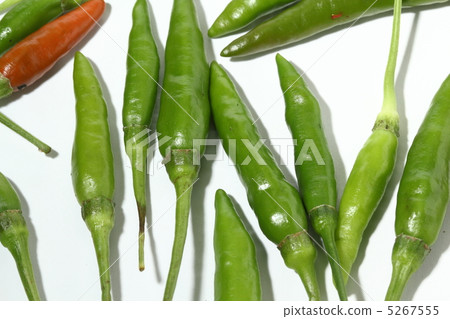 Purkin 'Chicken Pepper Thai Ingredients Thailand Purkin 'Chicken Pepper Thai Ingredients Thailand 5267555