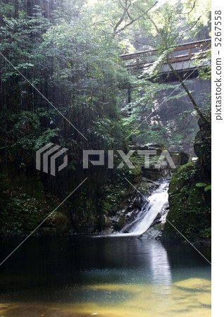 Red eyed falls 5267558