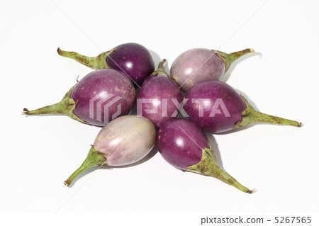 Eggplant purple Thai food ingredients Thailand 5267565