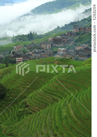 Ryuu Spider Boda (China Guangxi Zhuang Autonomous Region - Longsin) Ryuu Spider Boda (China Guangxi Zhuang Autonomous Region - Longsin) 5268204