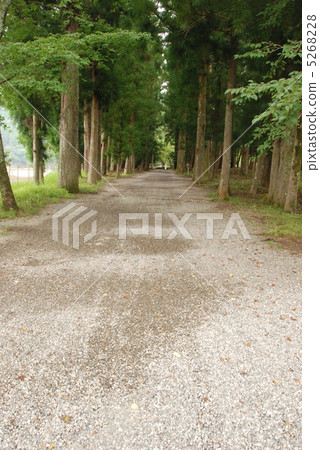 Road in Osanbara (Kumano Hongon shrine / Wakayama prefecture Tanabe main shrine) Road in Osanbara (Kumano Hongon shrine / Wakayama prefecture Tanabe main shrine) 5268228