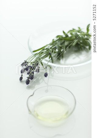 薰衣草花和芳香油 薰衣草花和芳香油 5271152
