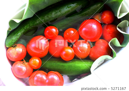 番茄和黃瓜浸泡在水中 番茄和黃瓜浸泡在水中 5271167