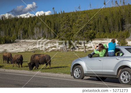Yellowstone National Park 5271273