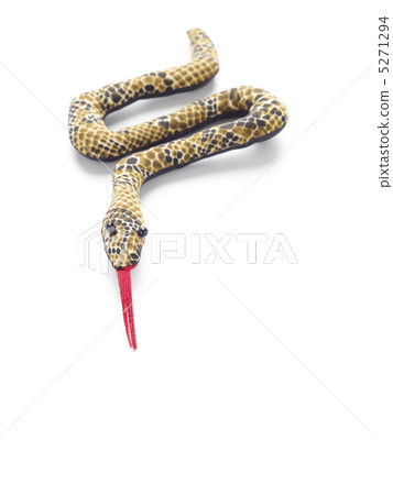 Snake Snake 5271294