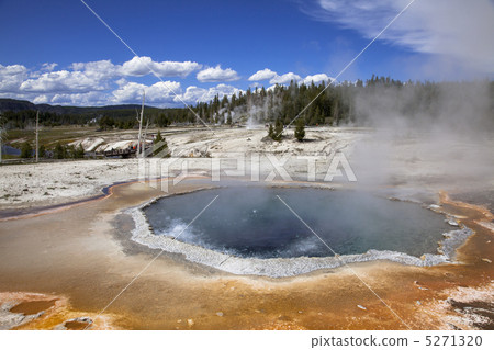 黃石國家公園 黃石國家公園 5271320