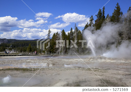 黃石國家公園 5271569
