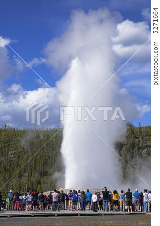 黃石國家公園 5271664