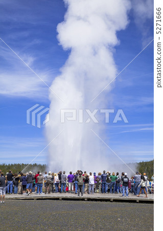 Yellowstone National Park Yellowstone National Park 5271666