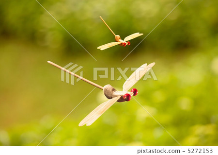 Bamboo worker's red dragonfly 5272153
