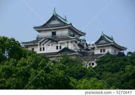 Wakayama Castle 5272647