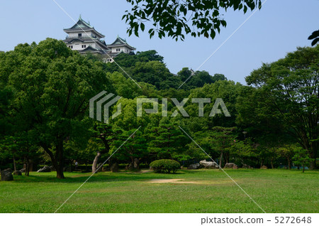 和歌山城堡看法從Nishinomaru廣場的 5272648