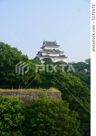 Wakayama Castle (From Okayama's Bunkodo) 5272672