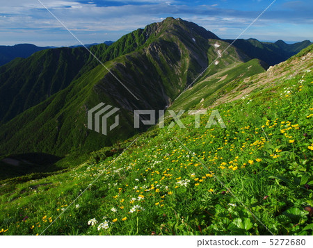 Akaishi dake summer 5272680